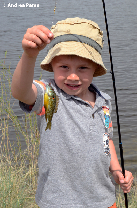 Child fishing