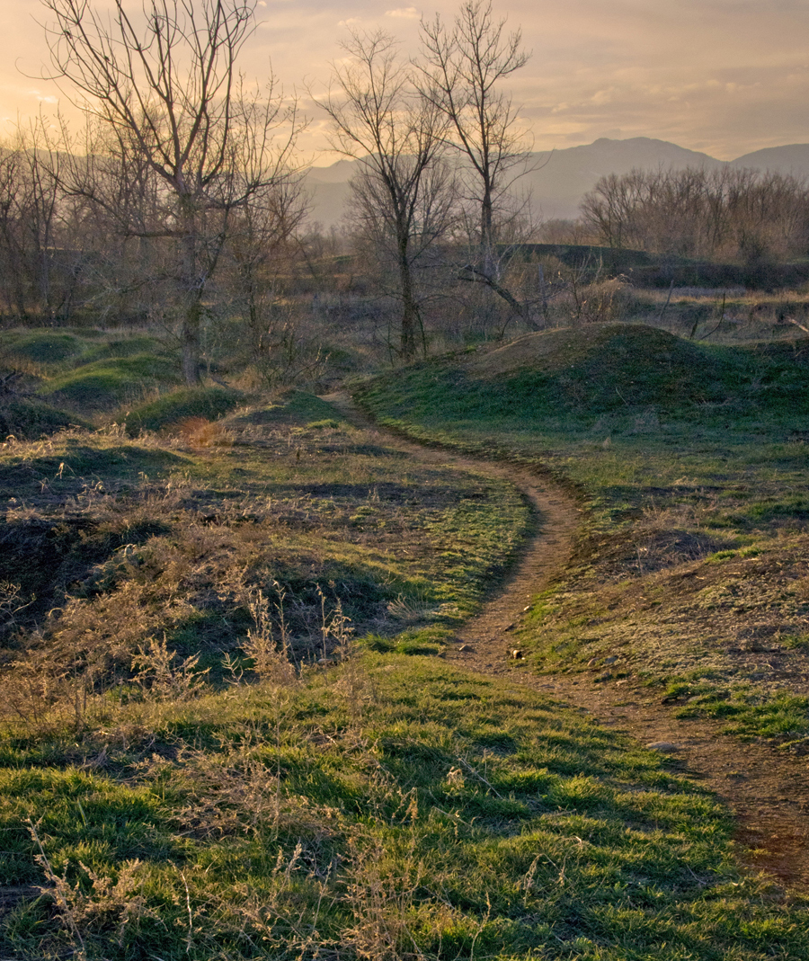 Sawhill Ponds trail