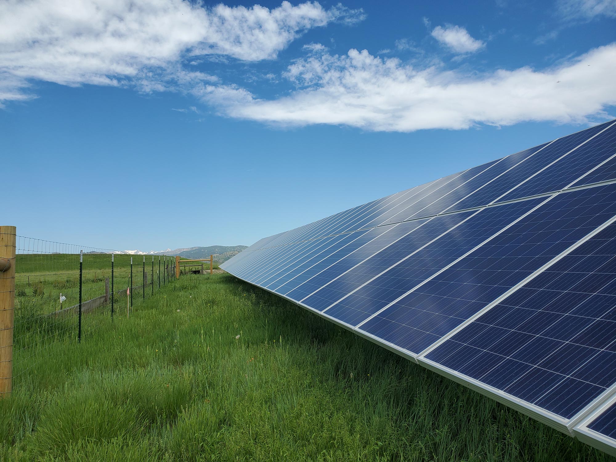 Solar panels sit in a field of green grass at the Boulder fire training center