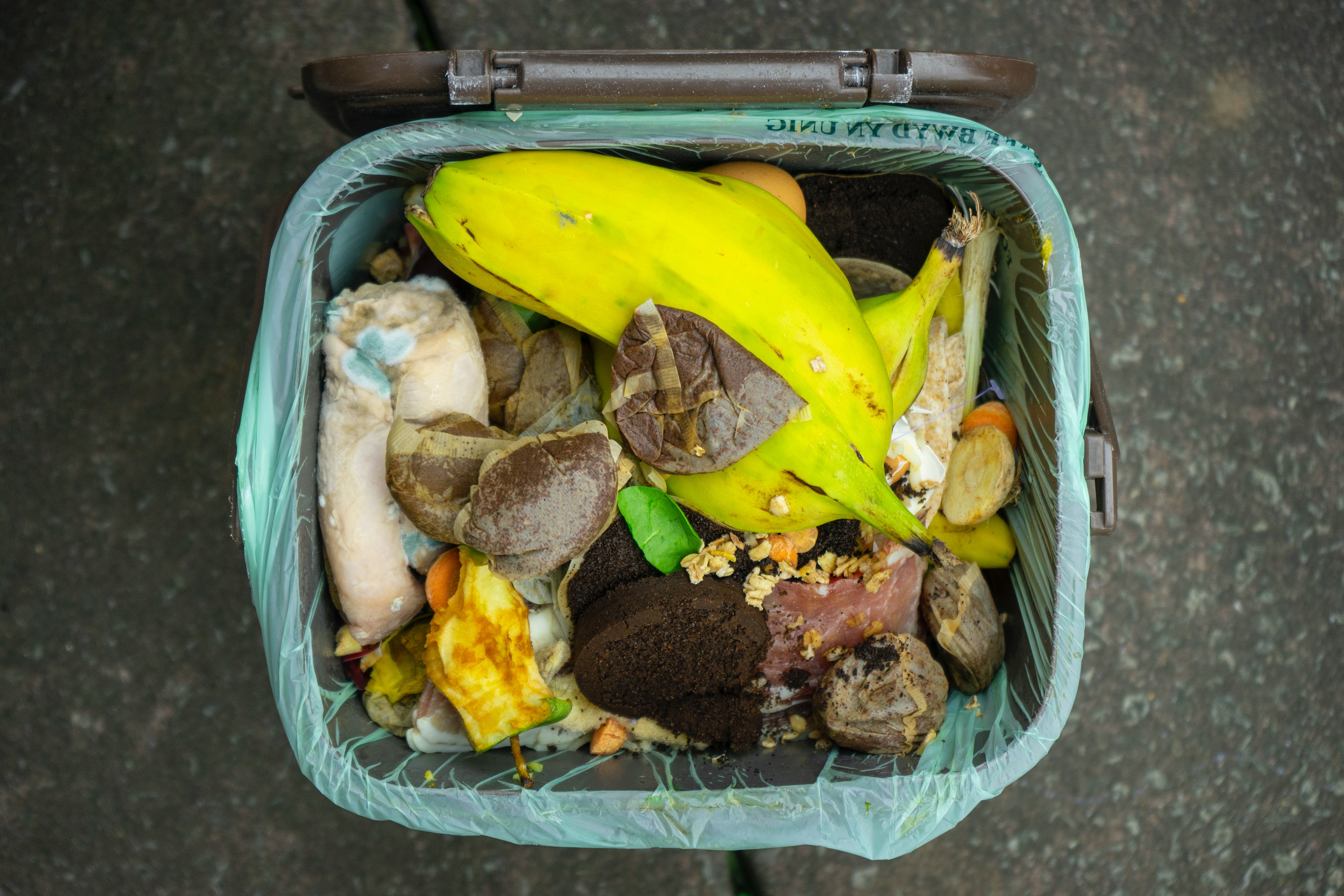 Compost bin full of food