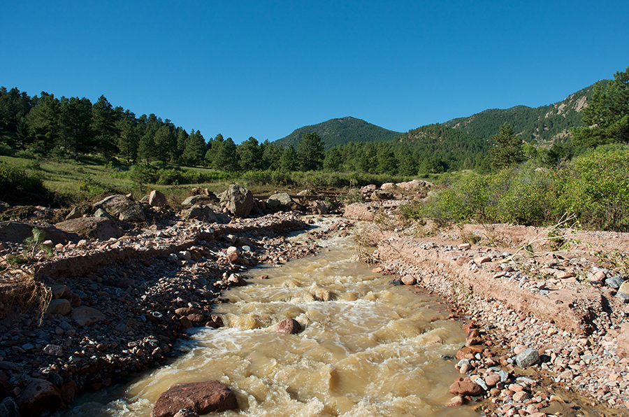 Floods are natural processes with ecological benefits. 