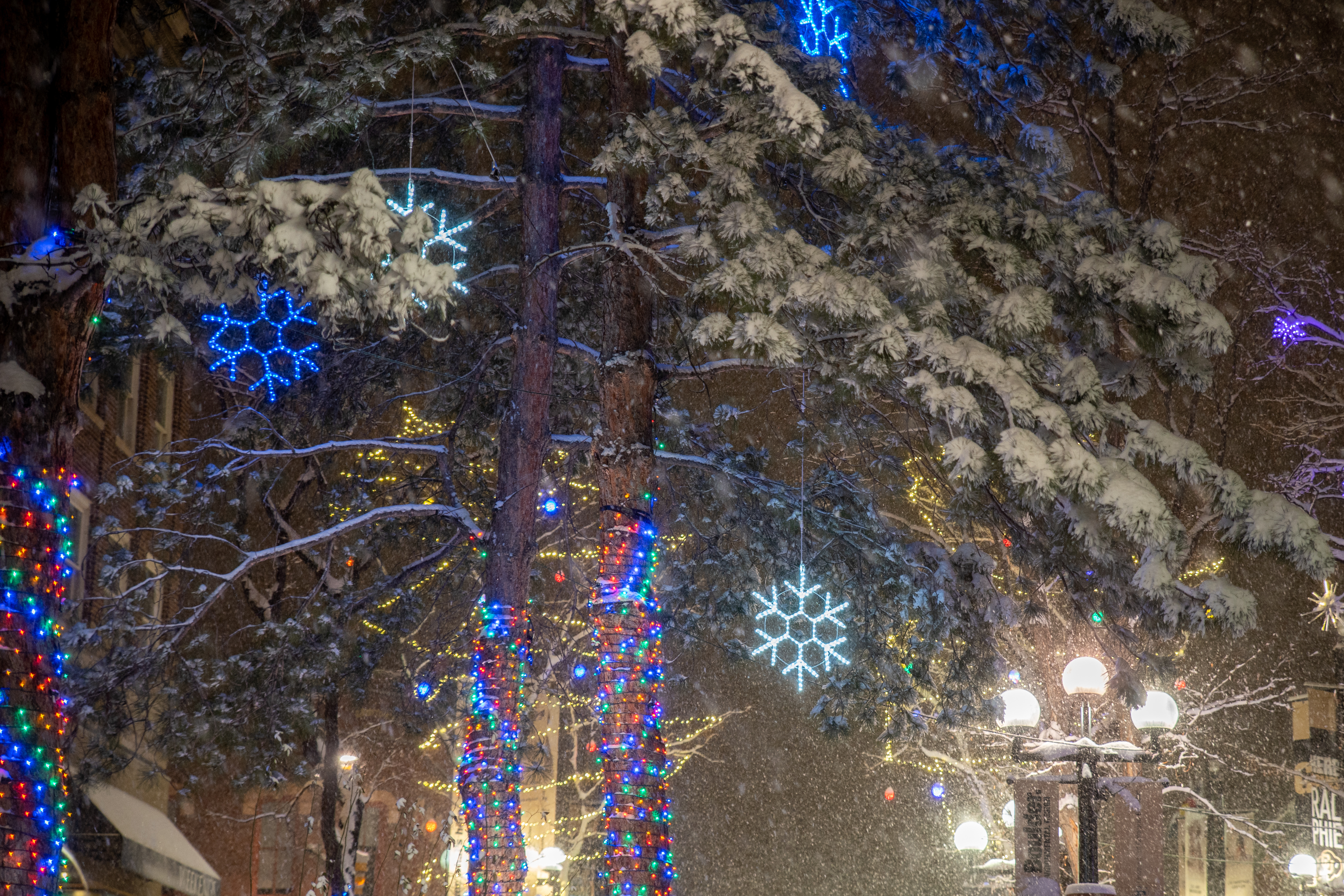 holiday lights downtown boulder