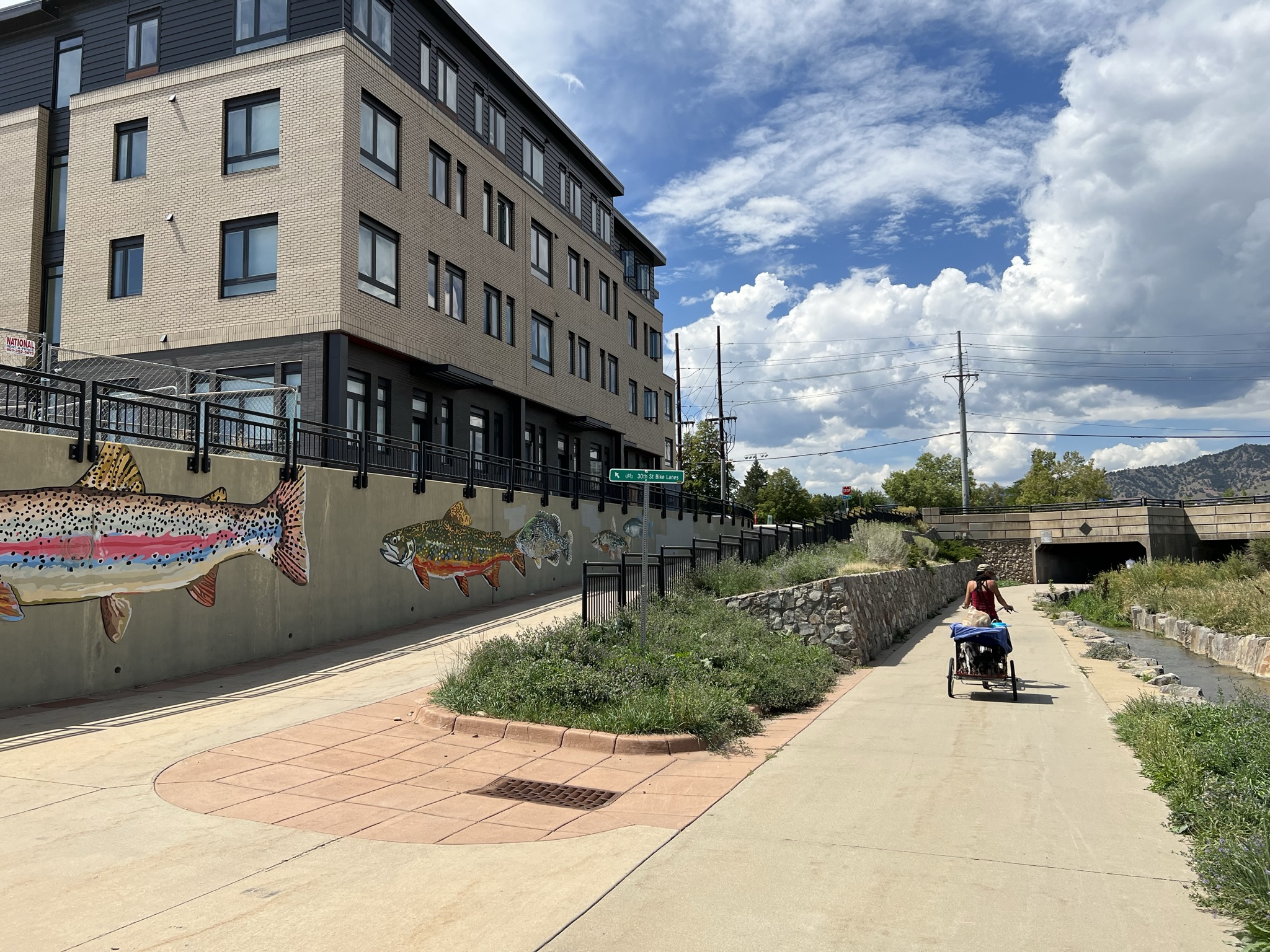 Boulder Junction Underpass and Art