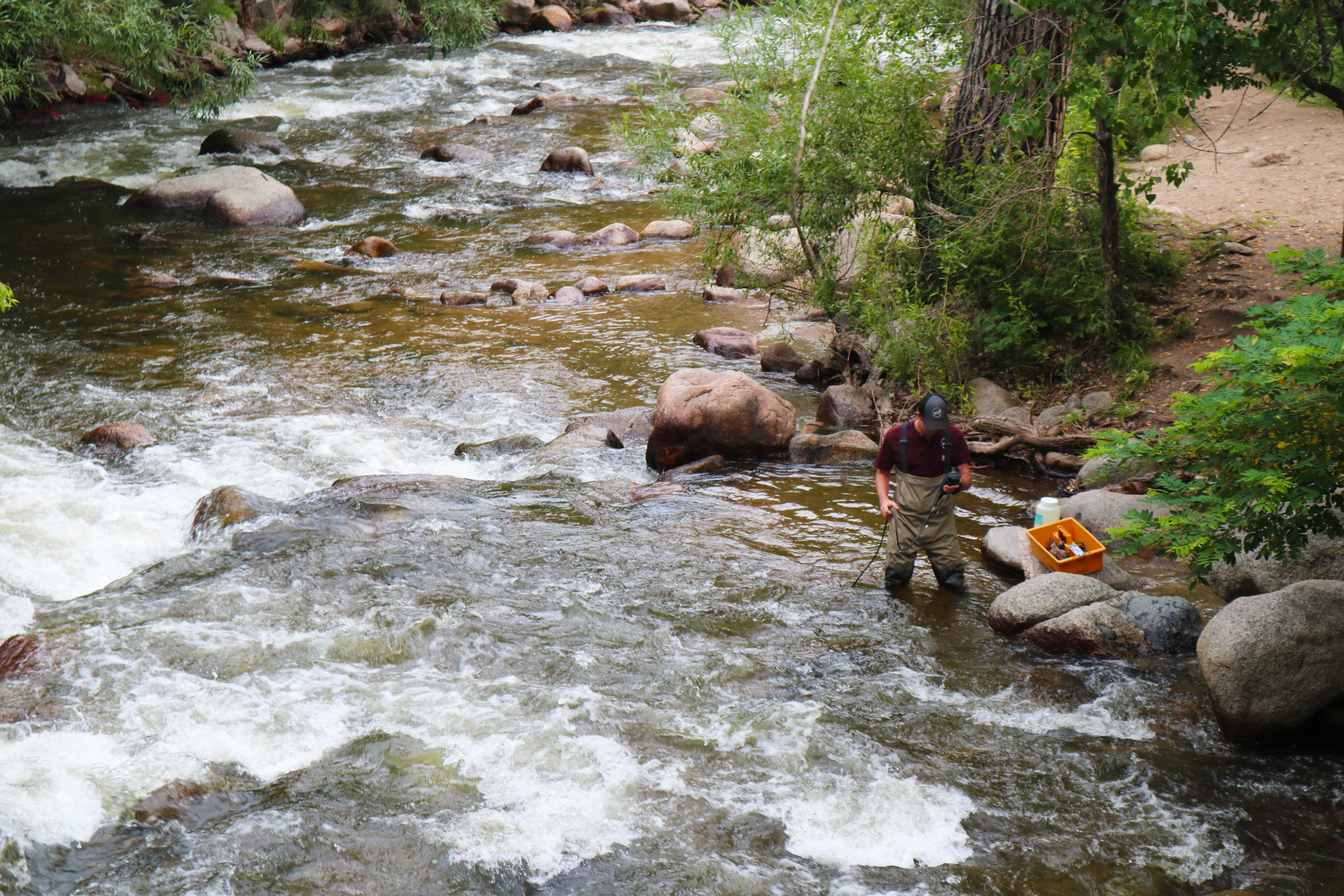 City staff monitoring E. coli levels in Boulder Creek