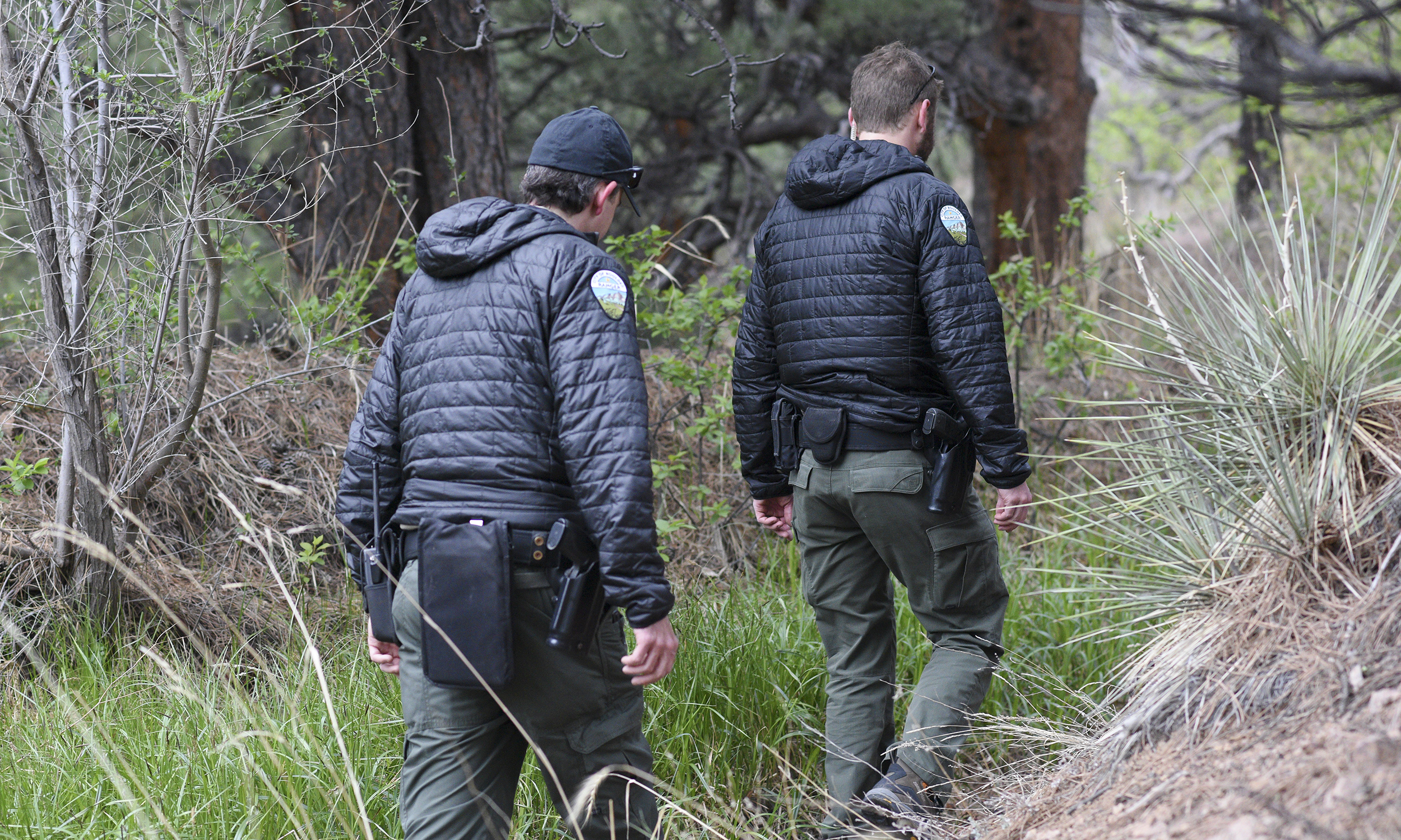 Rangers conduct a morning patrol on open space