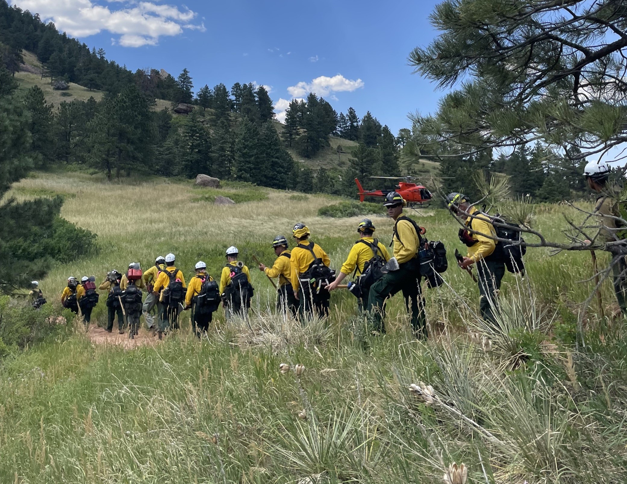 Team of wildland fire fighters headed towards the fire line in response to 2024 Dinosaur Wildland Fire.