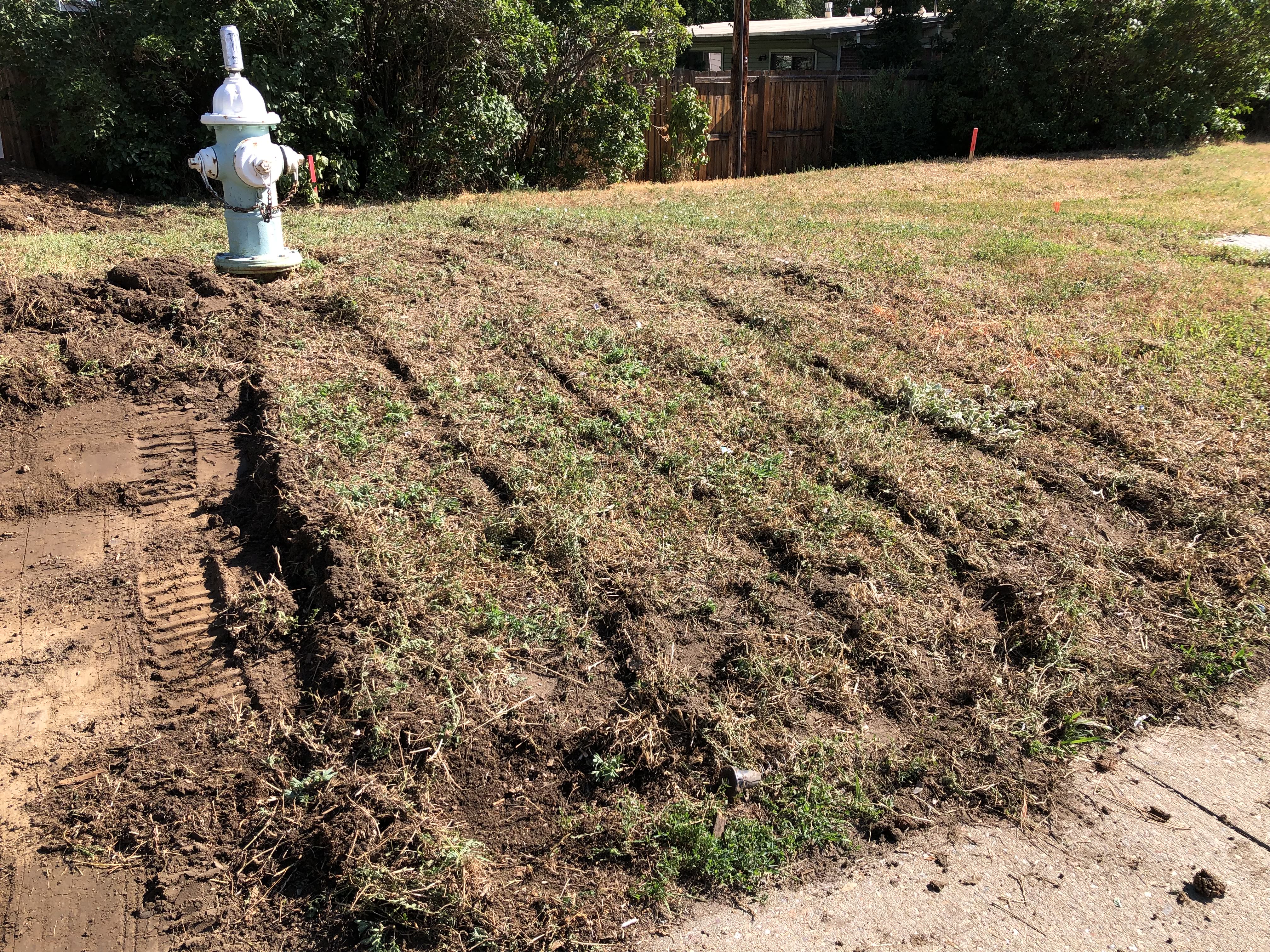 Manual turf removal in July 2024.