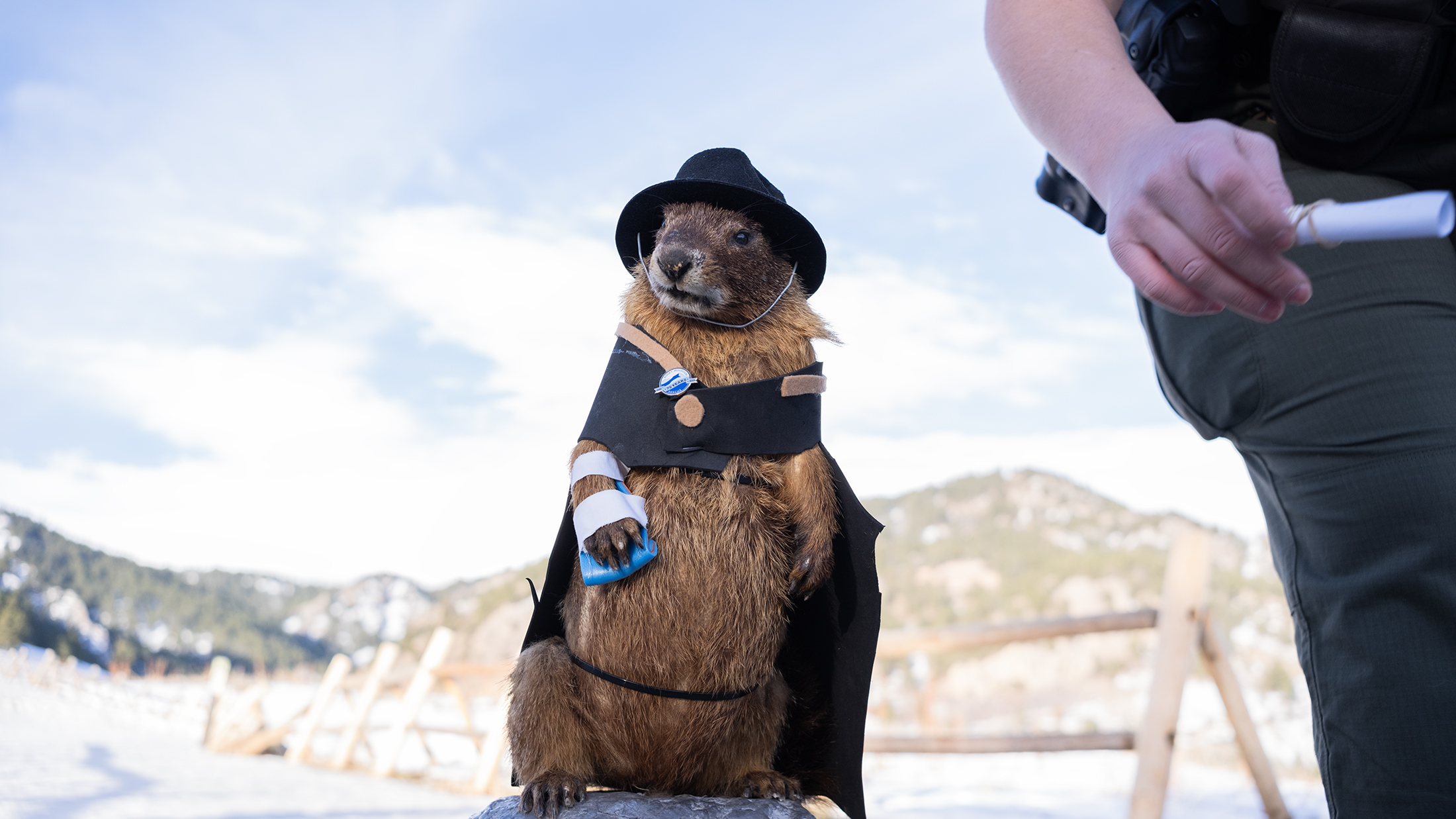 Flatiron Freddy gives his Gound Hog Day prediction to an Open Space and Mountain Parks Ranger