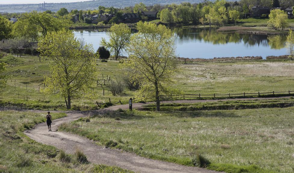 Jogger on Wonderland Lake Trail