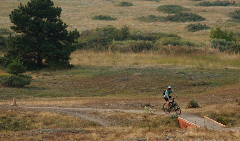 Mountain Biker on Trail