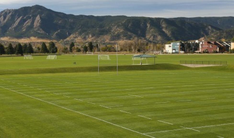 Green fields with view of mountains in the background