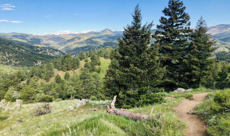 Tenderfoot Trail view