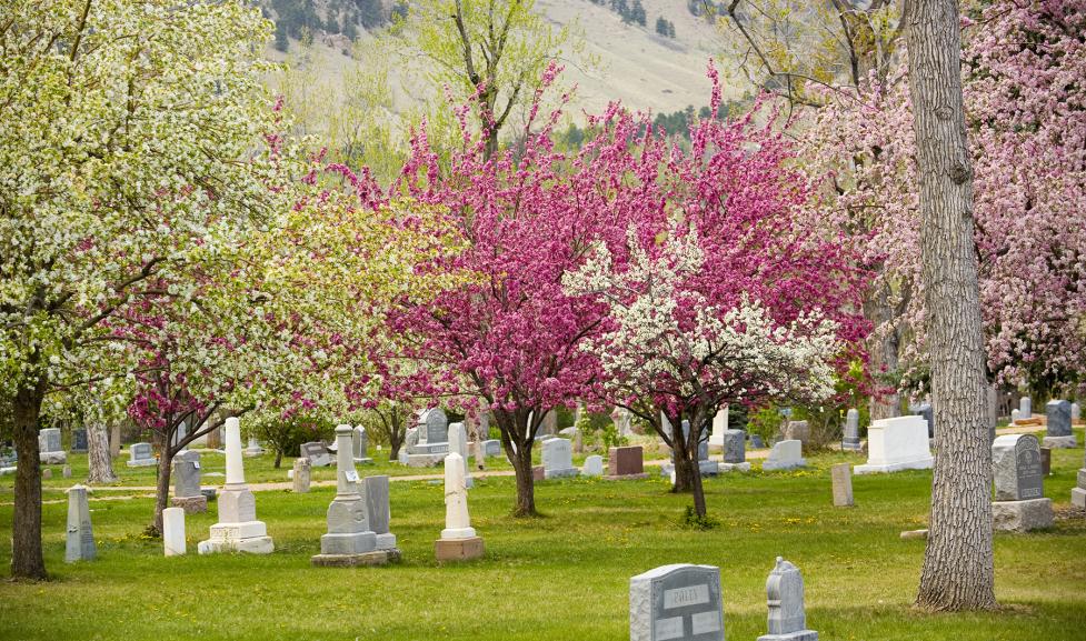 Columbia Cemetery