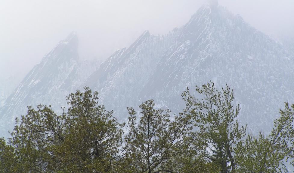 Photo of mountains in fog, trees in the foreground.