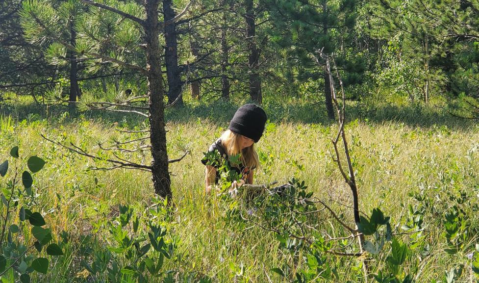 Child in meadow near a tree