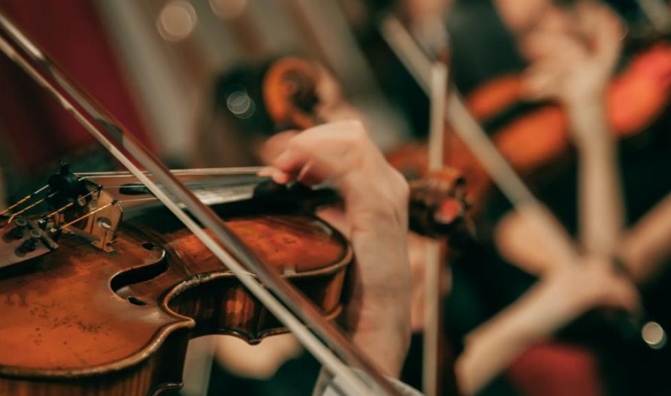 a bow rests on the strings of a violin