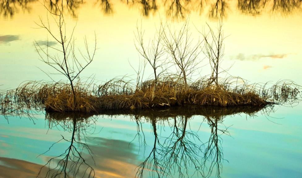 A small island appears to float amid lovely sky reflections of dusk in the still water of Sawhill Ponds.