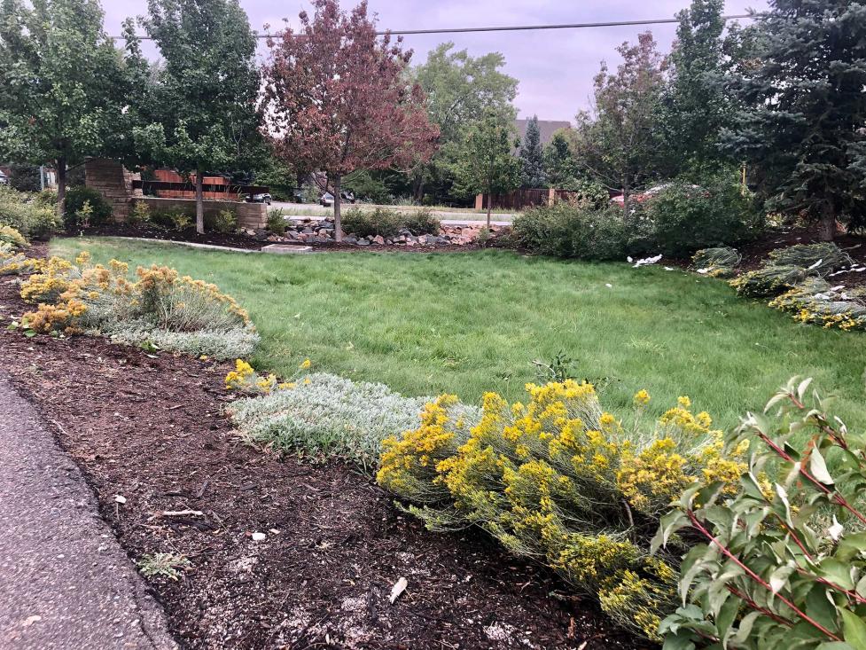 Roadside Raingarden – 4051 Broadway