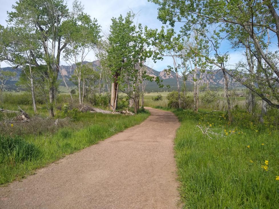 South Boulder Creek West in spring