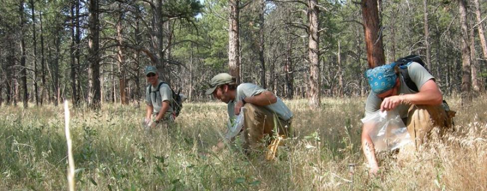 Volunteer project on OSMP