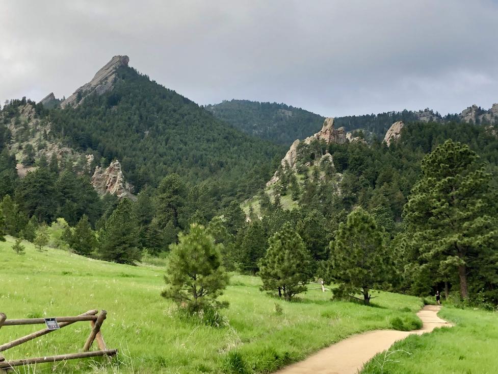 Baseline Trail in spring