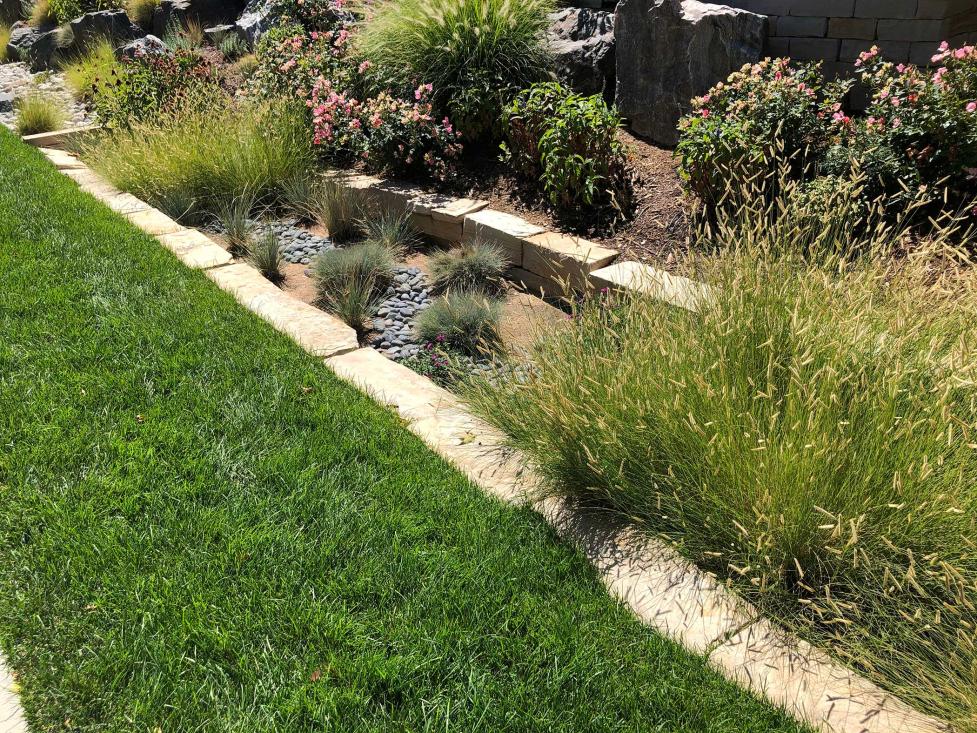 Residential Rain Gardens – Trailhead Homeowners