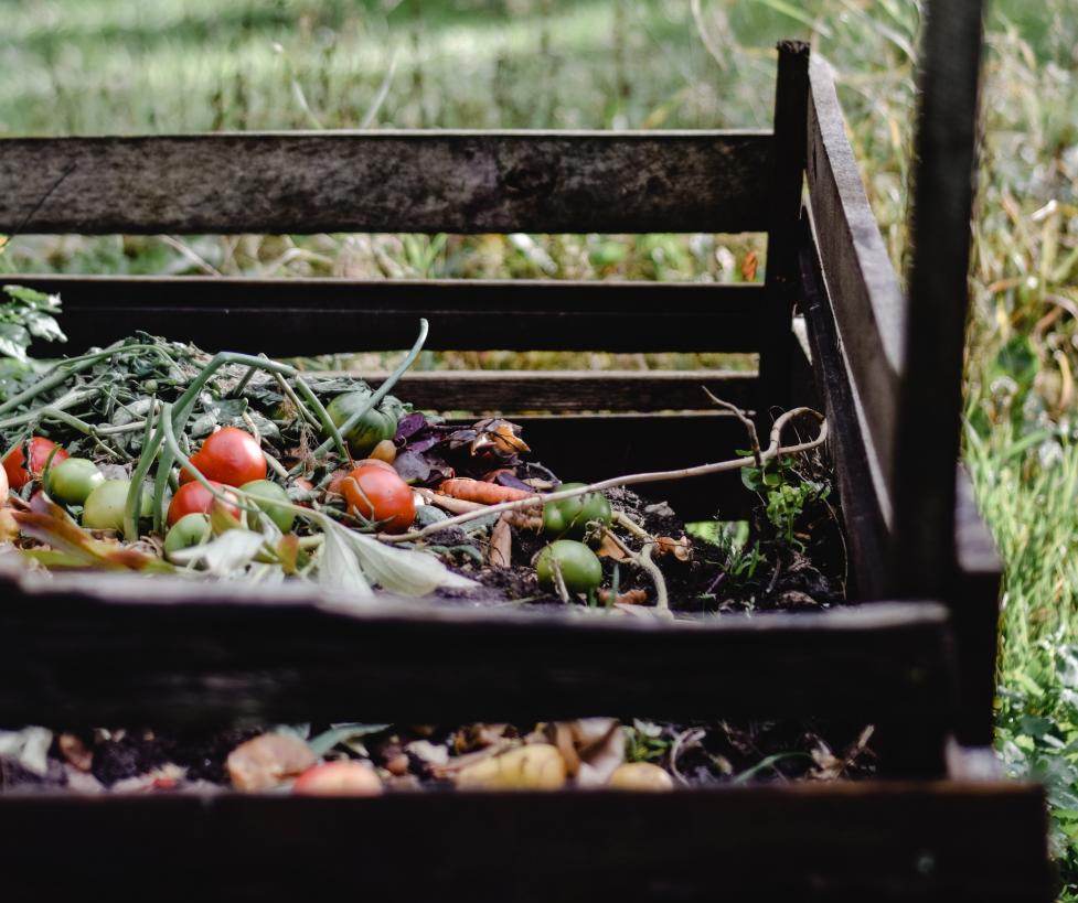 Backyard compost bin full of food scraps