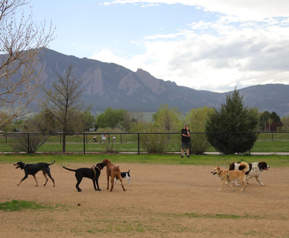 Valmont Dog Park