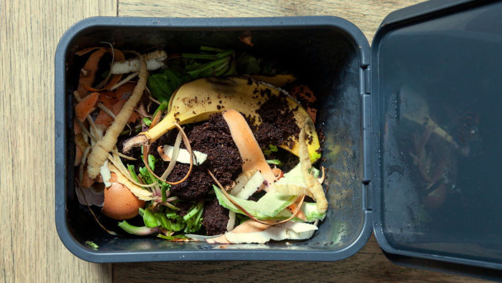 Kitchen compost bin without a bag 