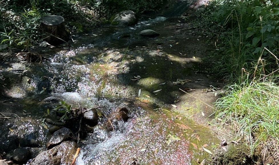 Upper Goose and Twomile Canyon Creek