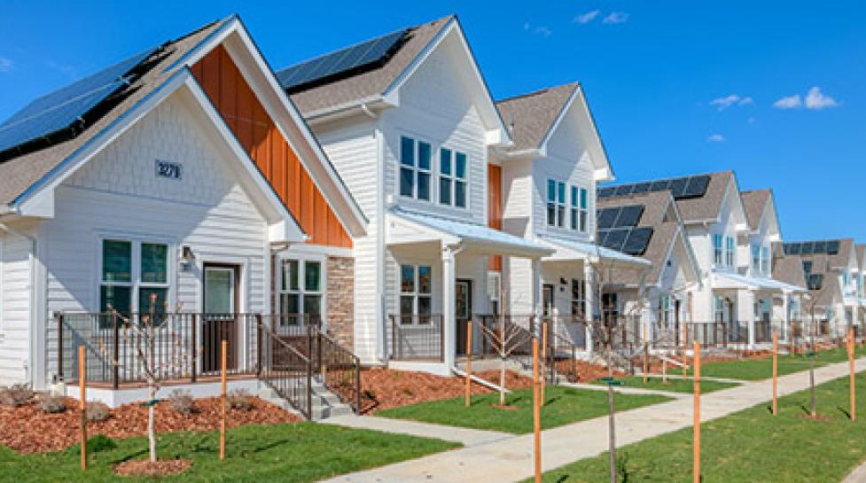 Row of houses 