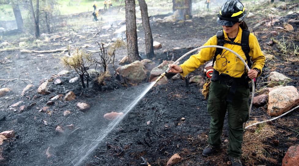 Firefighter conducting prescribed burn