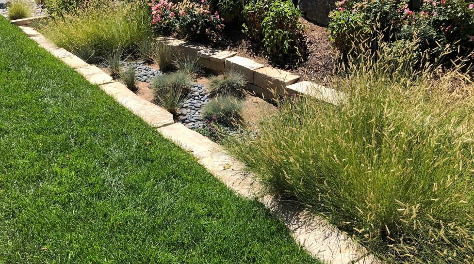 Residential Rain Gardens – Trailhead Homeowners