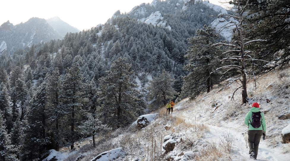 Hikers in snow 