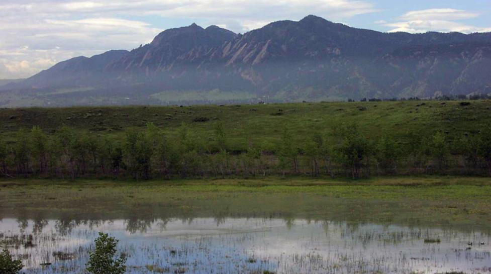 Mesa Reservoir