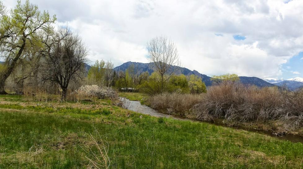 View from South Boulder Creek Trail