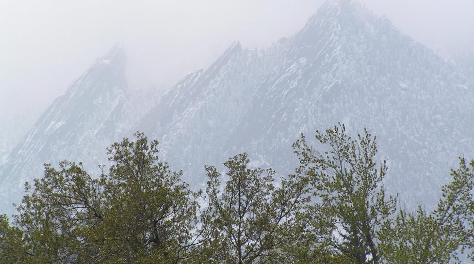 Photo of mountains in fog, trees in the foreground.