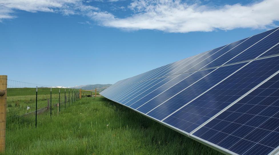 Solar panels sit in a field of green grass at the Boulder fire training center