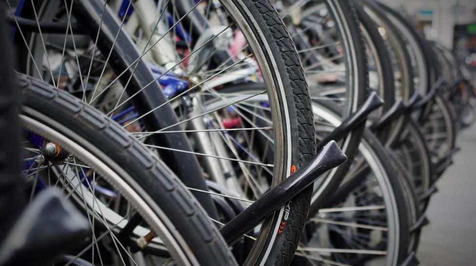 Bicycle wheels lined up in a row