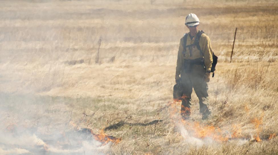 A firefighter supervising a prescribed burn