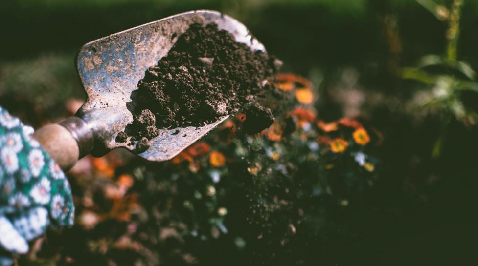 Gardening trowel tool sprinkling compost on a garden 