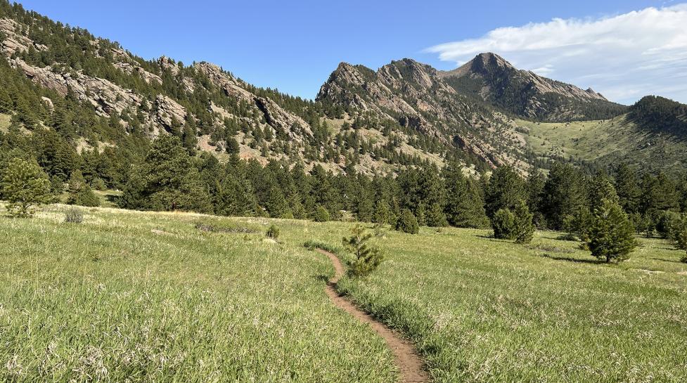 Goshawk Trail on City of Boulder open space