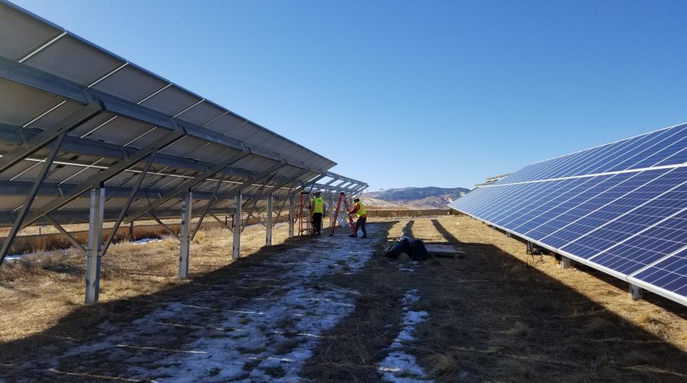 Two rows of solar panels in a field