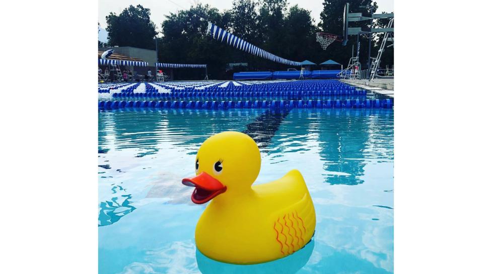 Great Boulder Duck Race is on August 28