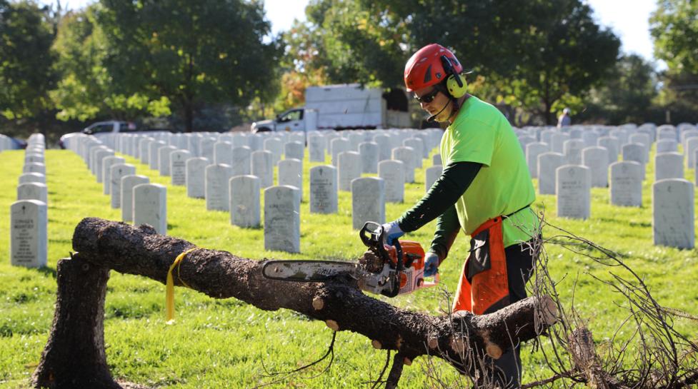 Saluting Branches event