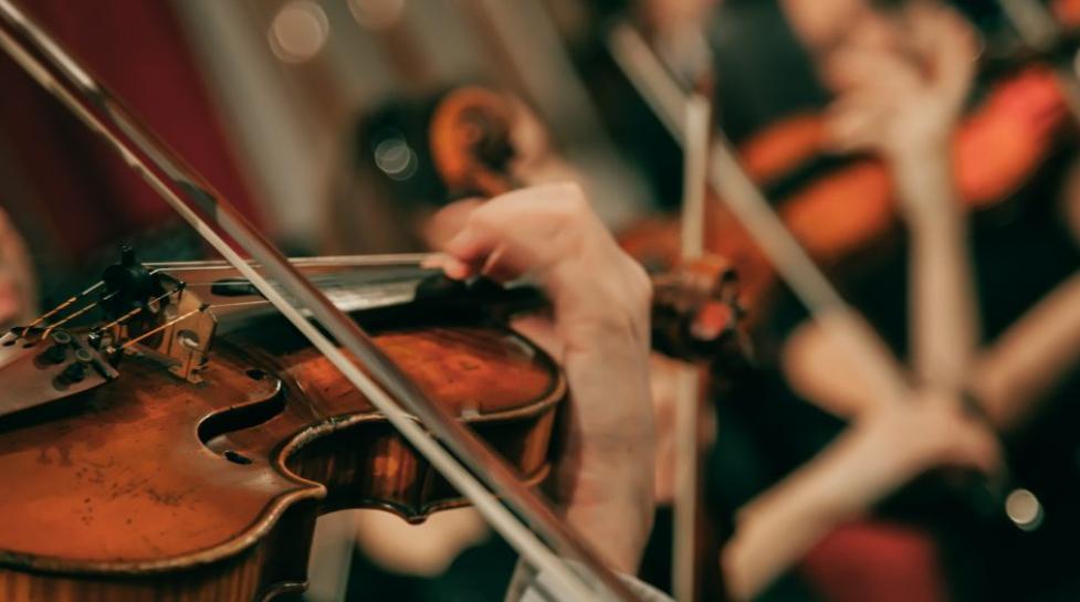 a bow rests on the strings of a violin