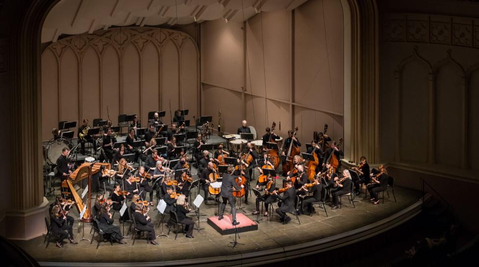 An orchestra conductor directs a large orchestra featuring a variety of instruments, in a concert hall