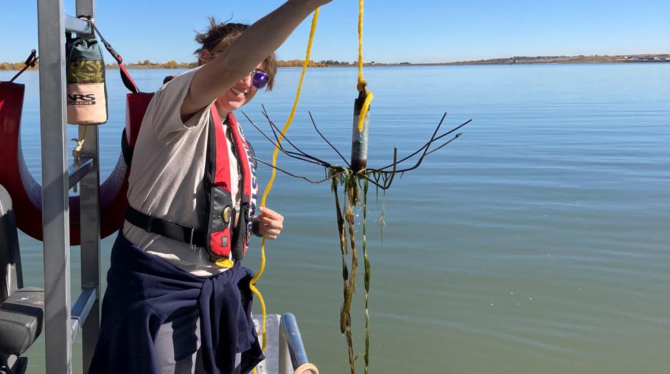 aquatic nuisance species at Boulder Reservoir