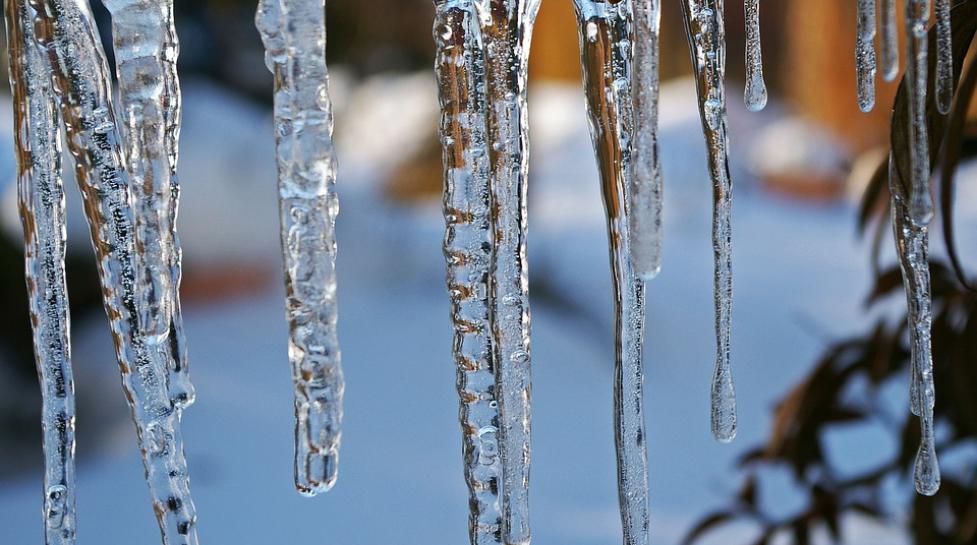 Icicles in the winter