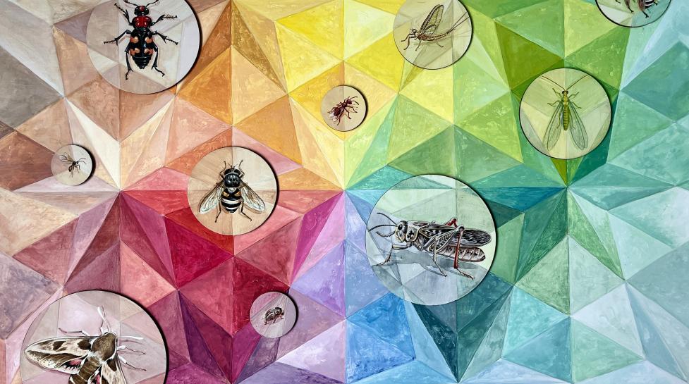 10 insects with ecological roles